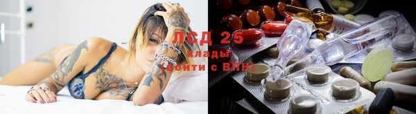 ALPHA PVP Ачинск
