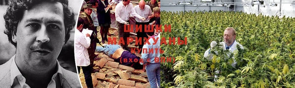 дурь Михайлов