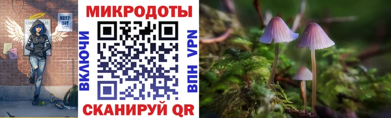 blacksprut ссылки  Спасск-Рязанский  Псилоцибиновые грибы Psilocybine cubensis 